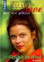 First Love - Die große Liebe tv-show nude scenes