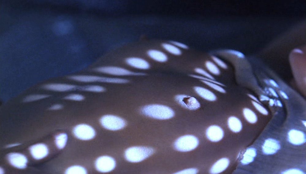 Naked Cindy Crawford In Fair Game