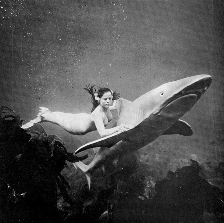 Diane Webber Nue Dans Mermaids Of Tiburon Hot Sex Picture