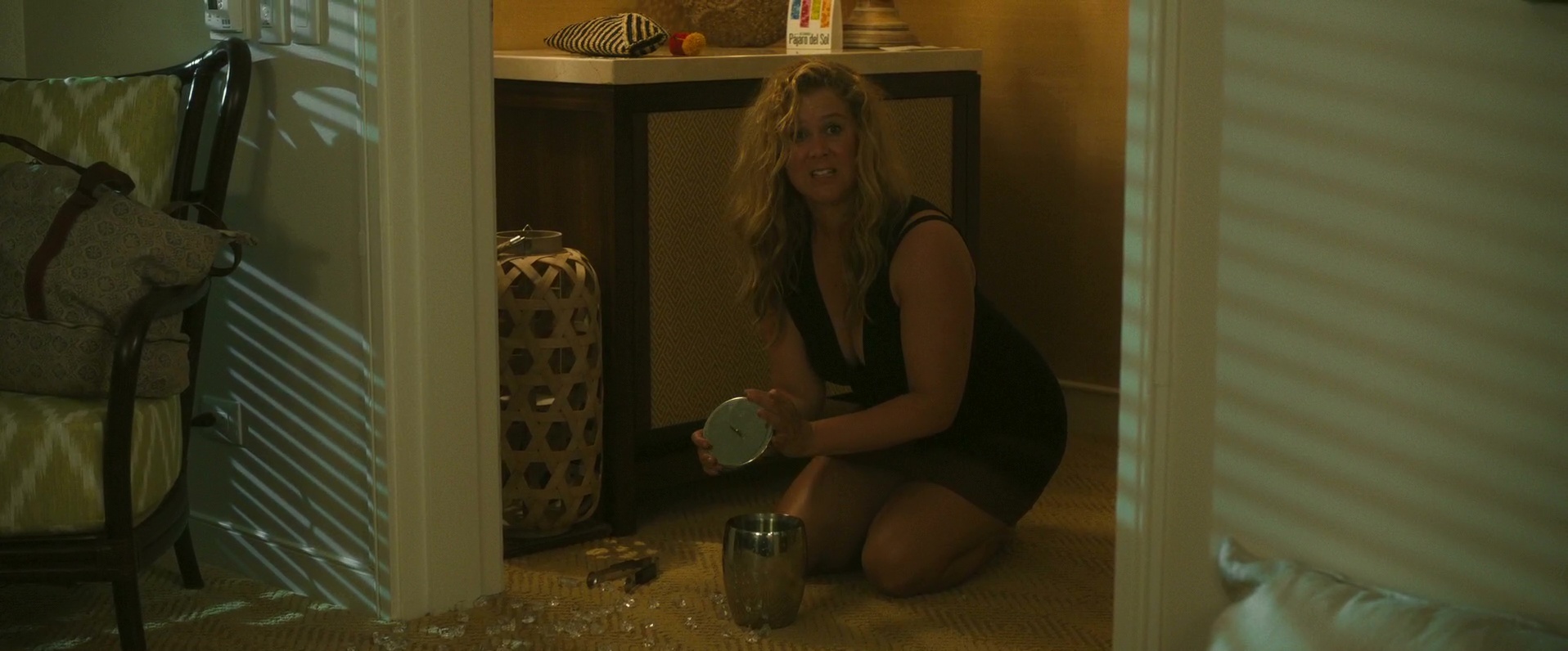 Snatched nudity amy schumer Review: Amy