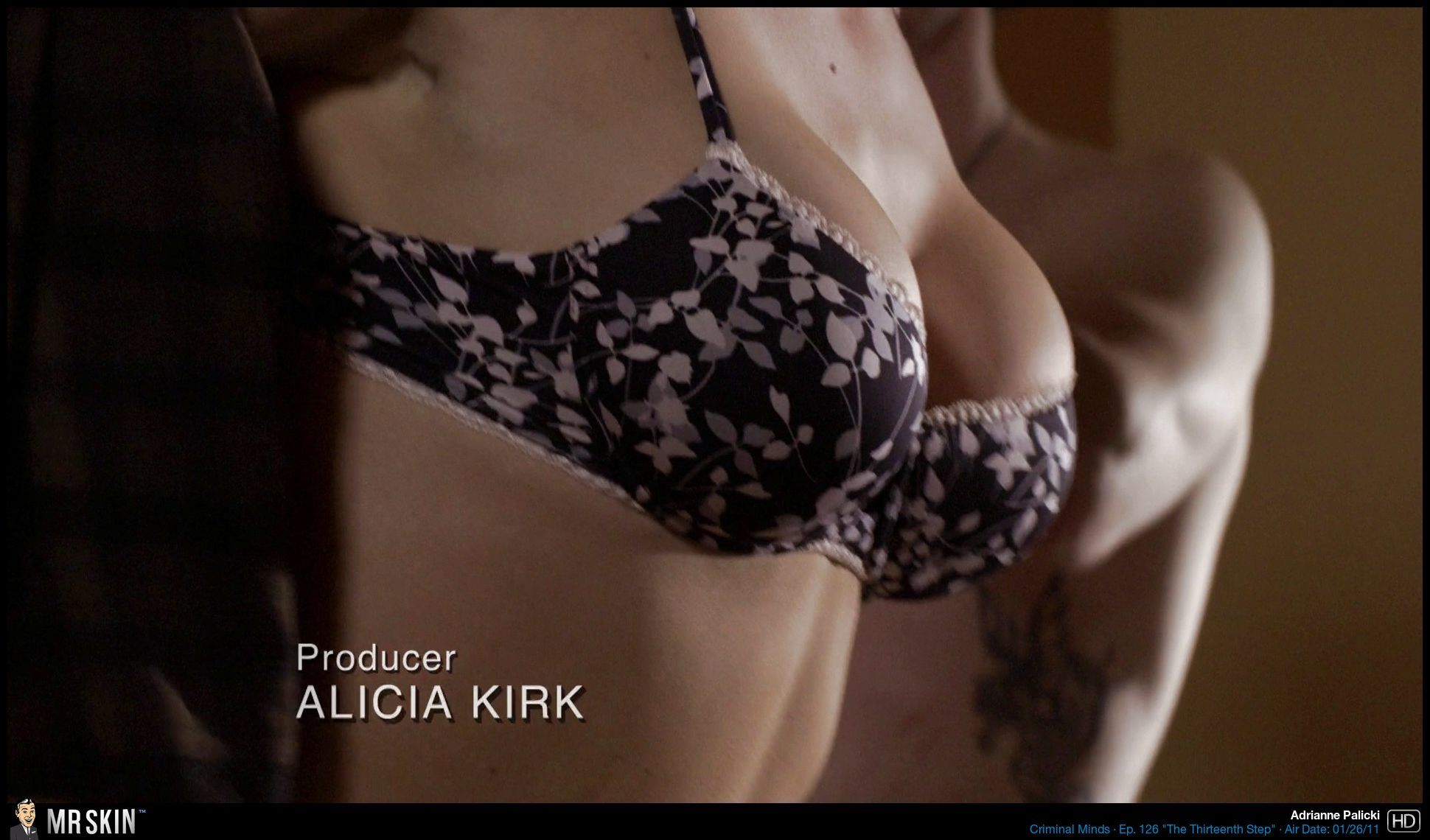 Adrianne palicki mr skin