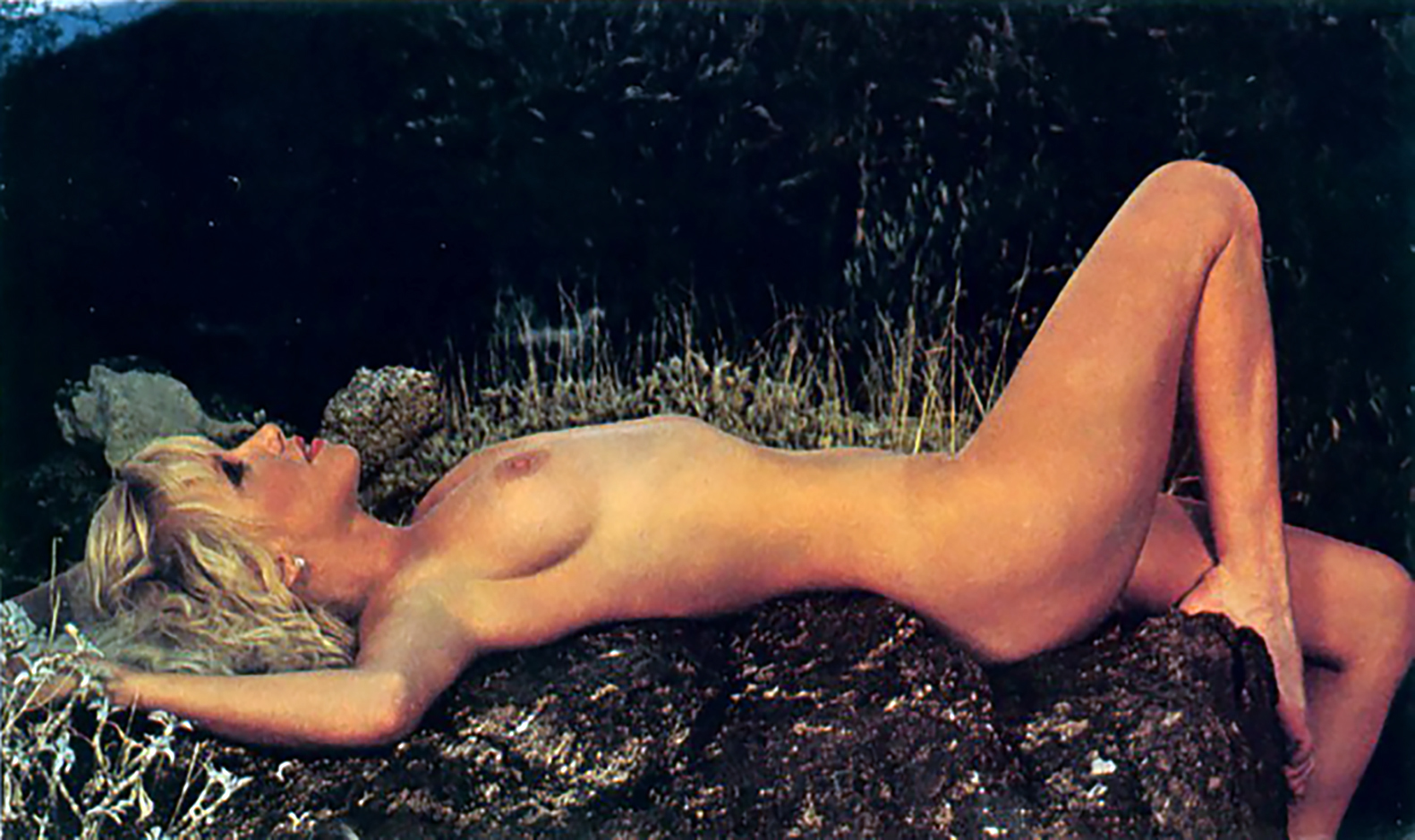 Suzanne Sommers nude pictures, Suzanne Somers Nude ULTIMATE, Naked Suzanne...