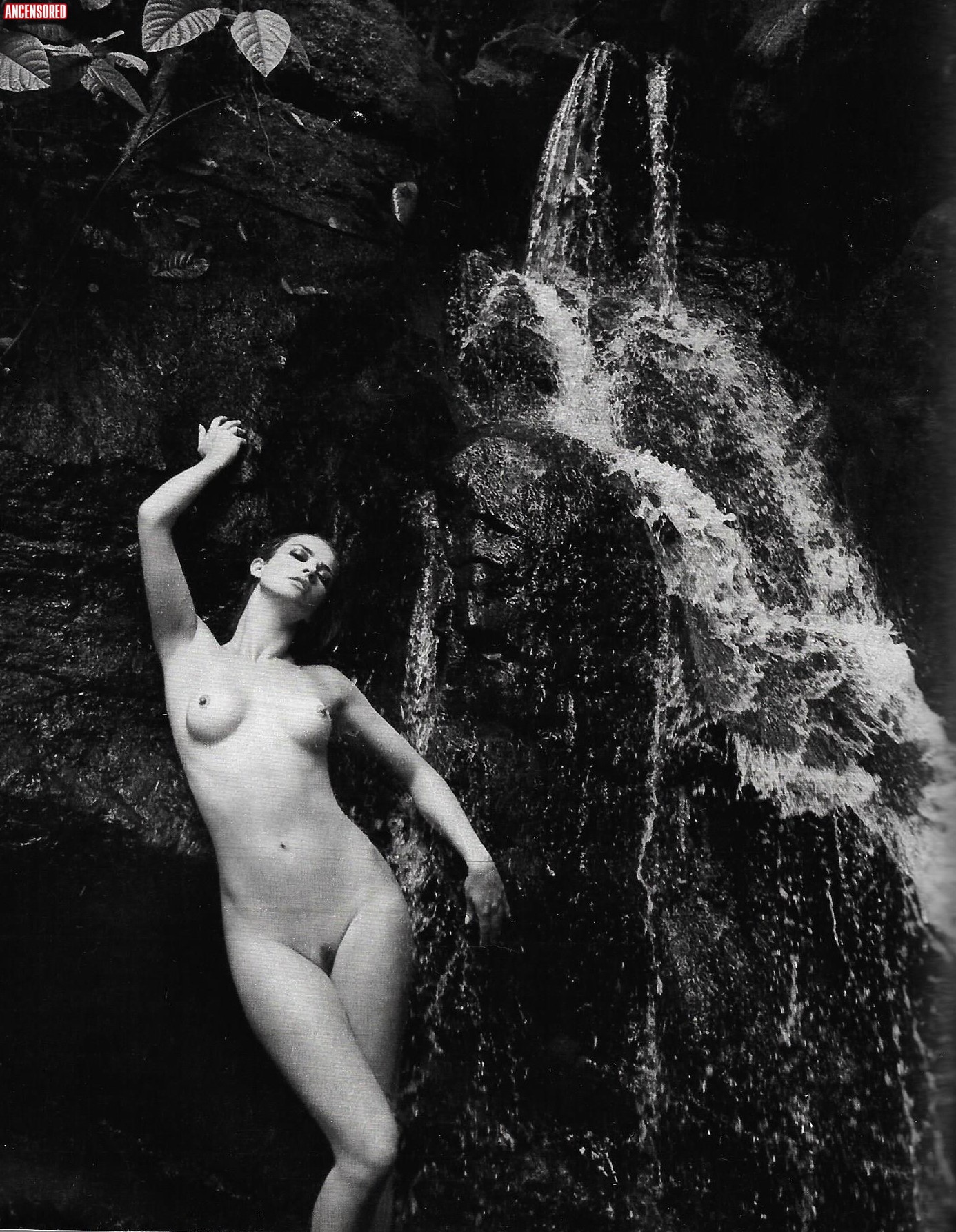Let Cia Birkheuer Nude Pics Page