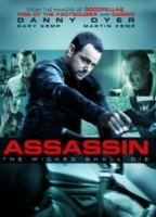 Assassin (II) movie nude scenes