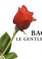 Bachelor gentleman célibataire (2003-present) Nude Scenes