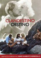 Clandestino destino movie nude scenes
