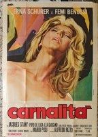 Carnal Revenge 1974 movie nude scenes