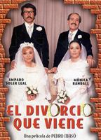 El divorcio que viene 1980 movie nude scenes