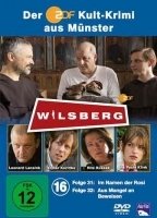 Wilsberg 2015 movie nude scenes