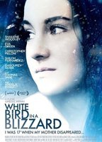 White Bird in a Blizzard (2014) Nude Scenes
