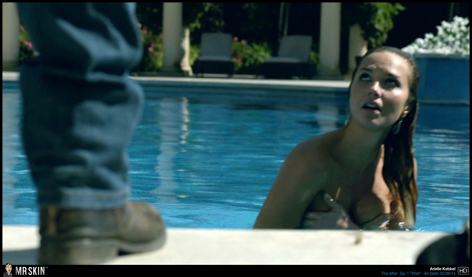 Arielle kebbel mr skin