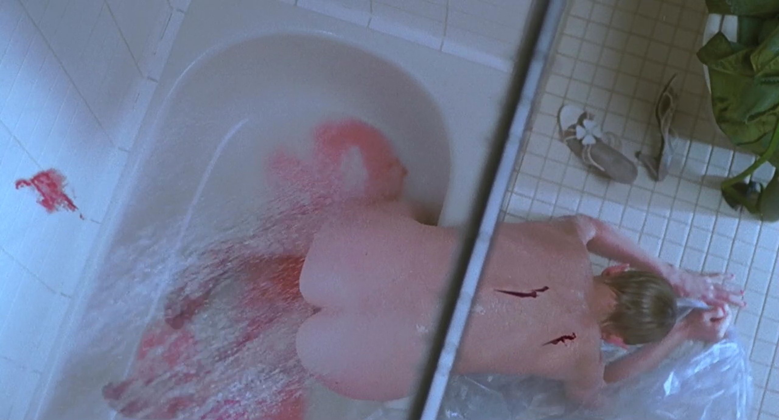 Naked Anne Heche In Psycho