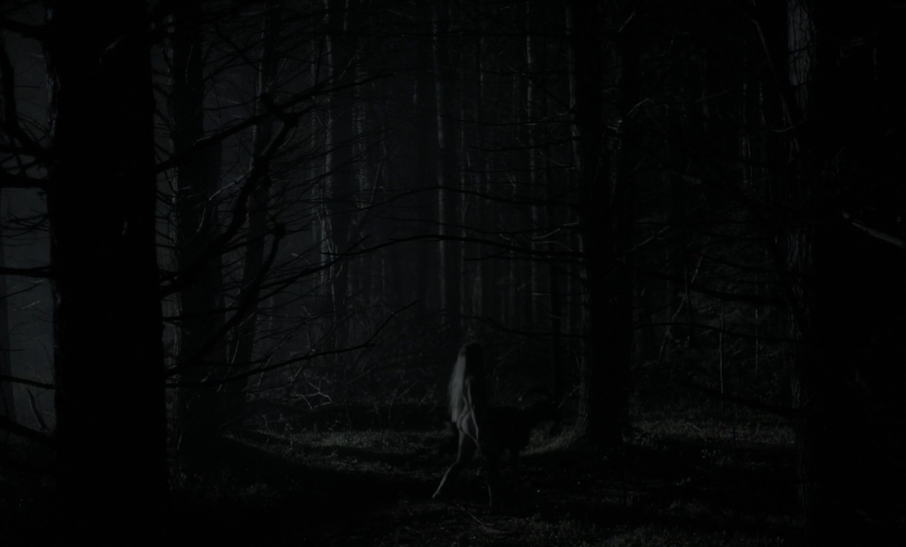 Anya taylor-joy nude the witch