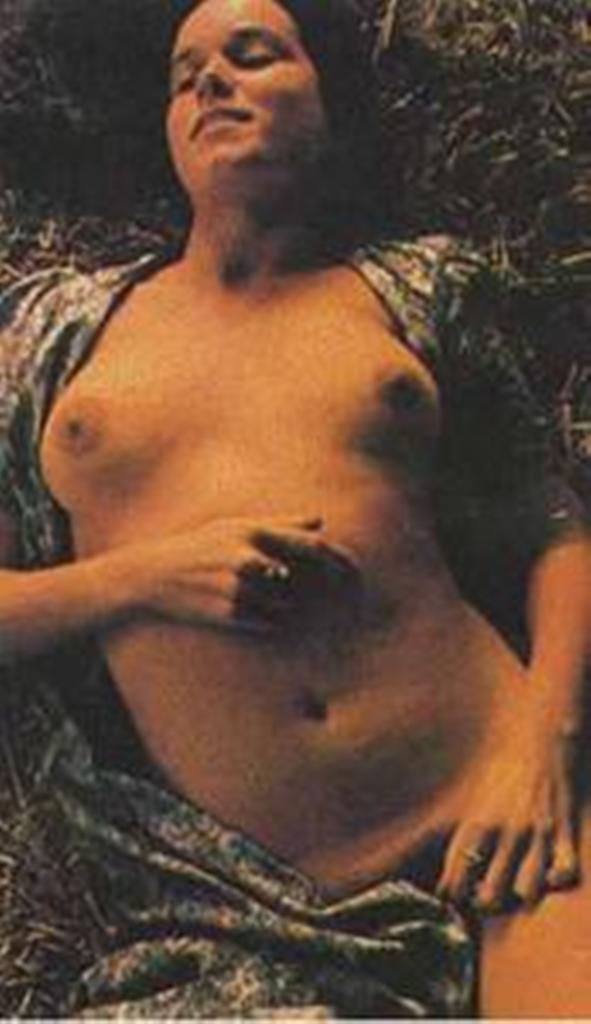 Barbara hershey nude pic