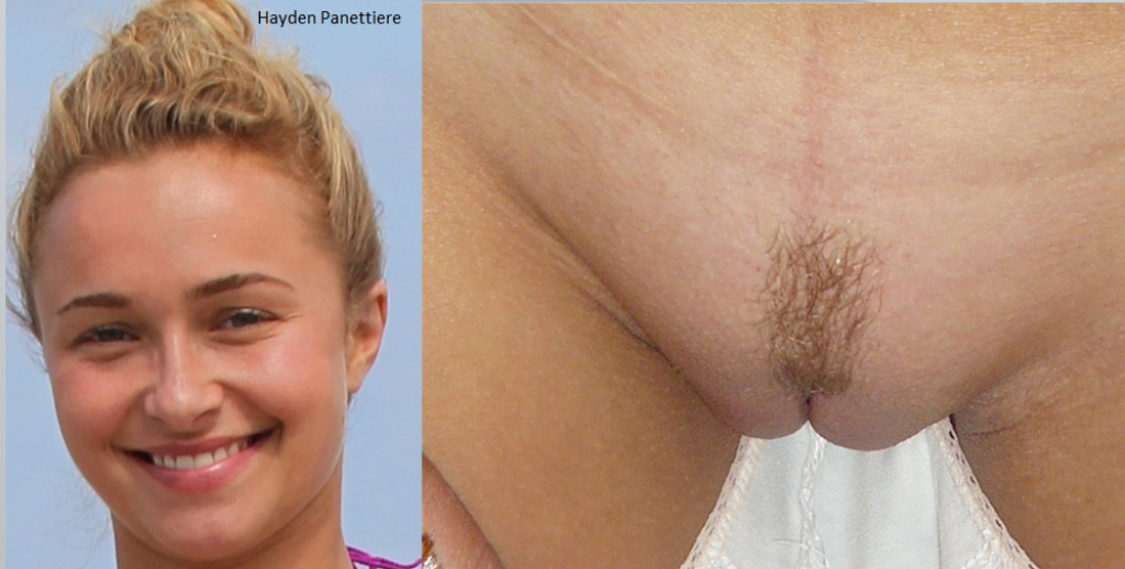 Nackte Hayden Panettiere In Pussy Portraits