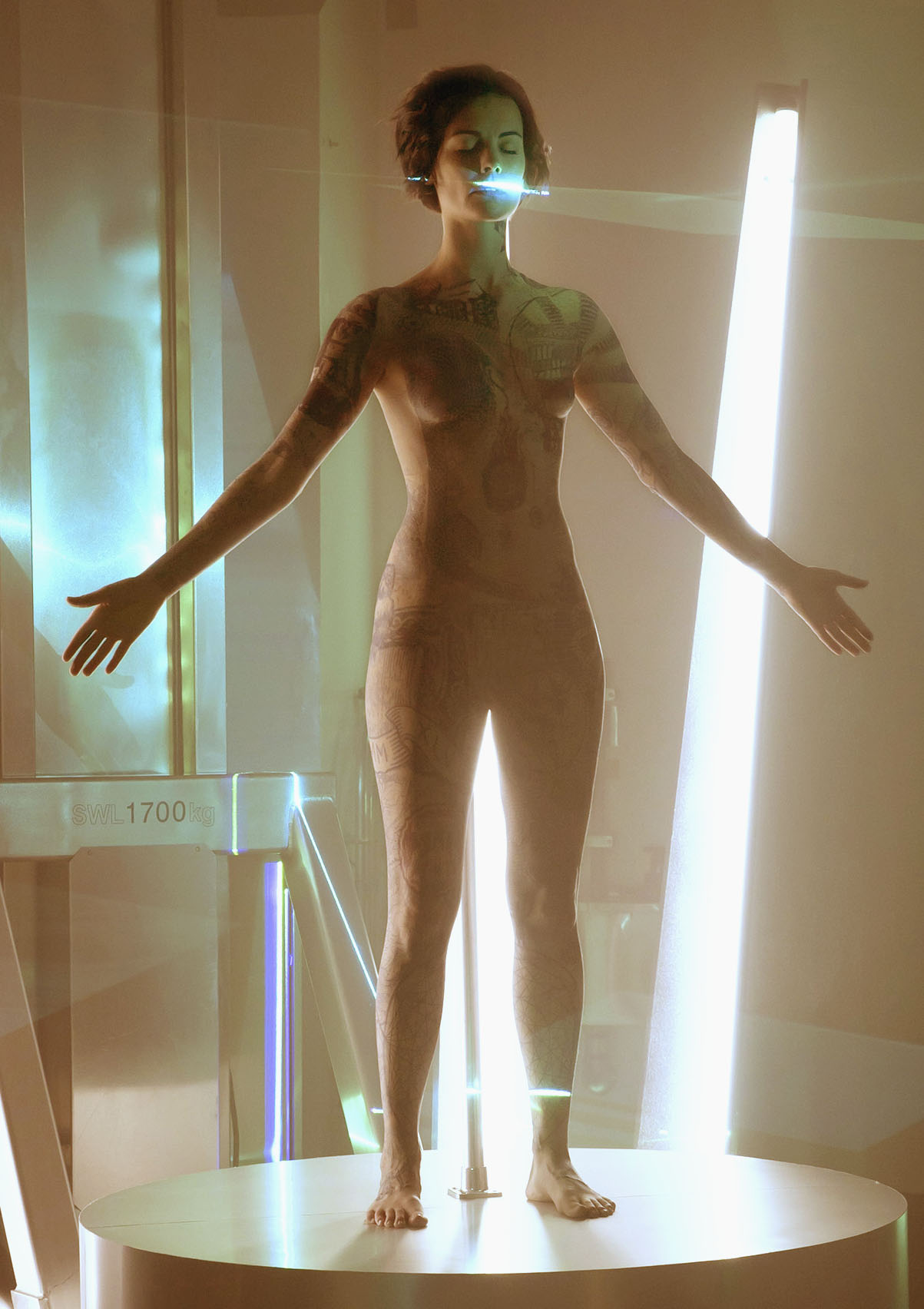 Naked Jaimie Alexander In Blindspot 