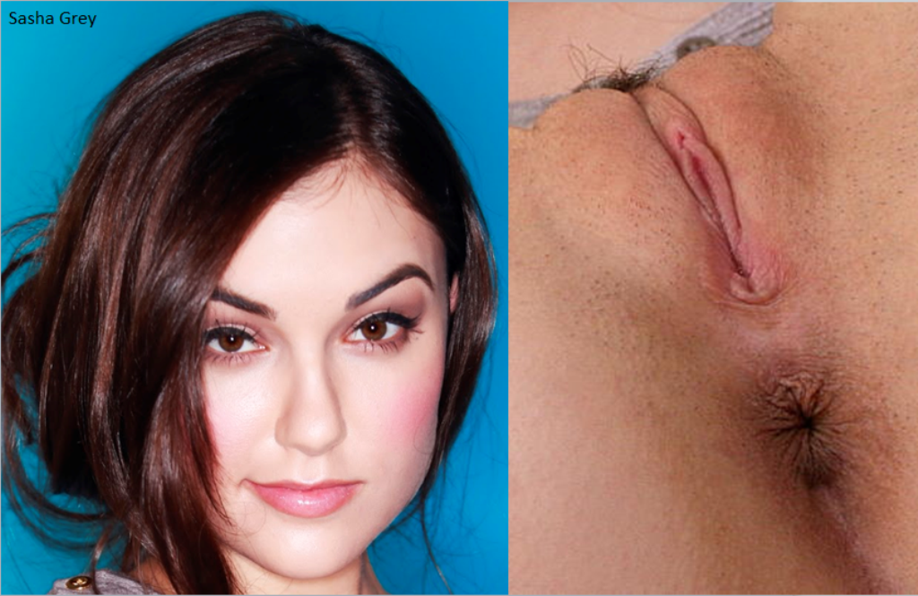 Porn Sasha Grey Pussy