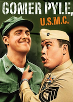 Gomer Pyle, U.S.M.C. 1964 movie nude scenes