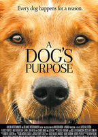 A Dog's Purpose 2017 movie nude scenes