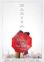 A Rainy Day in New York 2019 movie nude scenes