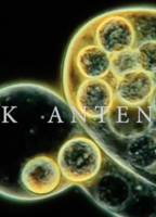 Alice In Chains: Black Antenna movie nude scenes