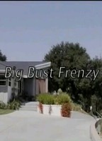 Big Bust Frenzy 2007 movie nude scenes