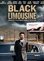 Black Limousine (2010) Nude Scenes