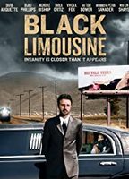 Black Limousine 2010 movie nude scenes