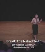 Brexit: The Naked Truth  (2019) Nude Scenes