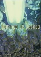 Domingo de Páscoa (2008) Nude Scenes