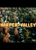 Harper Valley 1981 movie nude scenes