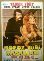 Horoz Gibi Masallah 1975 movie nude scenes
