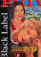 Indecency 2 1998 movie nude scenes