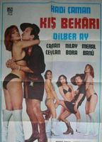 Kis Bekari 1978 movie nude scenes