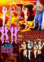 La banda de los bikinis rosas vs Cobras negras  2013 movie nude scenes