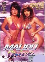 Malibu Spice 1991 movie nude scenes