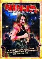 Ninja: Prophecy of Death (2011) Nude Scenes