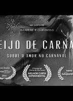 O Beijo de Carnaval  2016 movie nude scenes