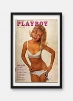 Playboy Playmate of the Year 1963 1963 movie nude scenes