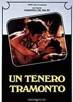Un Tenero Tramonto 1984 movie nude scenes