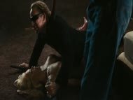Video of Charlotte Ross in Drive Angry 3D Video of Charlotte Ross in Drive Angry 3D