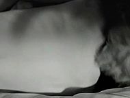 clip-All the Sins of Sodom-NA