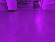 clip-Bad Biology-Woman in Penthouse