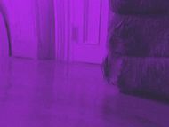clip-Bad Biology-Woman in Closet