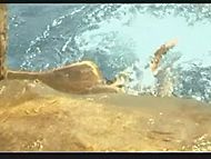 clip-Baywatch: Hawaiian Wedding-Neely Capshaw