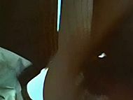 clip-Die Beute-Nelly