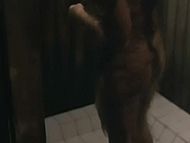 clip-Blood Moon-Tara the Wolf Girl