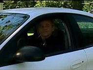 clip-Broken Flowers-Lolita