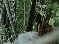 clip-Countryman-Beau Porter