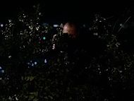 clip-Criminal Minds-Lila Archer
